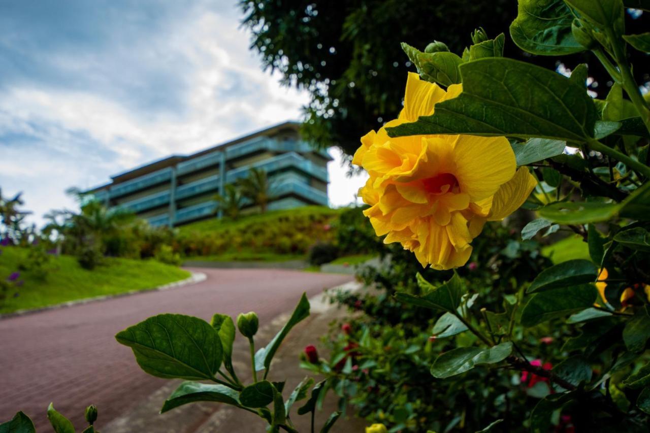 Lake Arenal Condos Naranjos Agrios エクステリア 写真